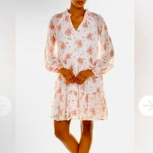 NWT Ivory/pink/gold dress